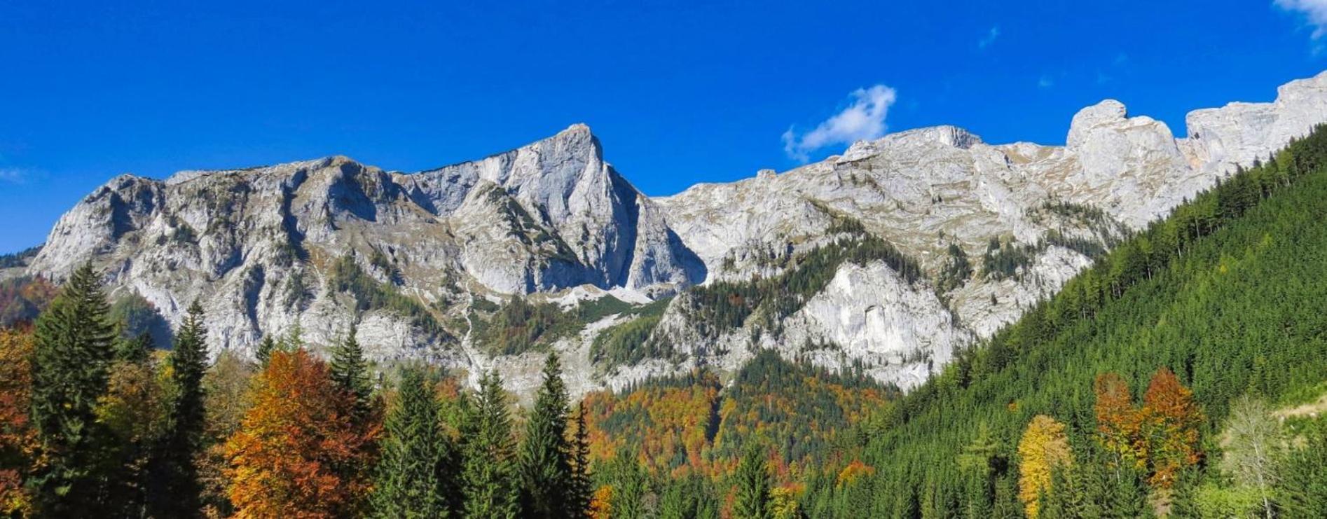 Отель Der Bodenbauer Thorl Экстерьер фото